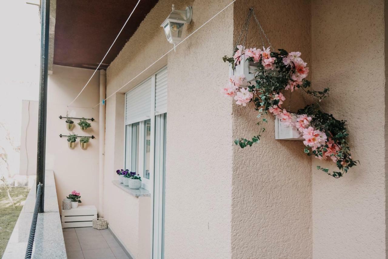 Apartman Bacchus Pula Zewnętrze zdjęcie